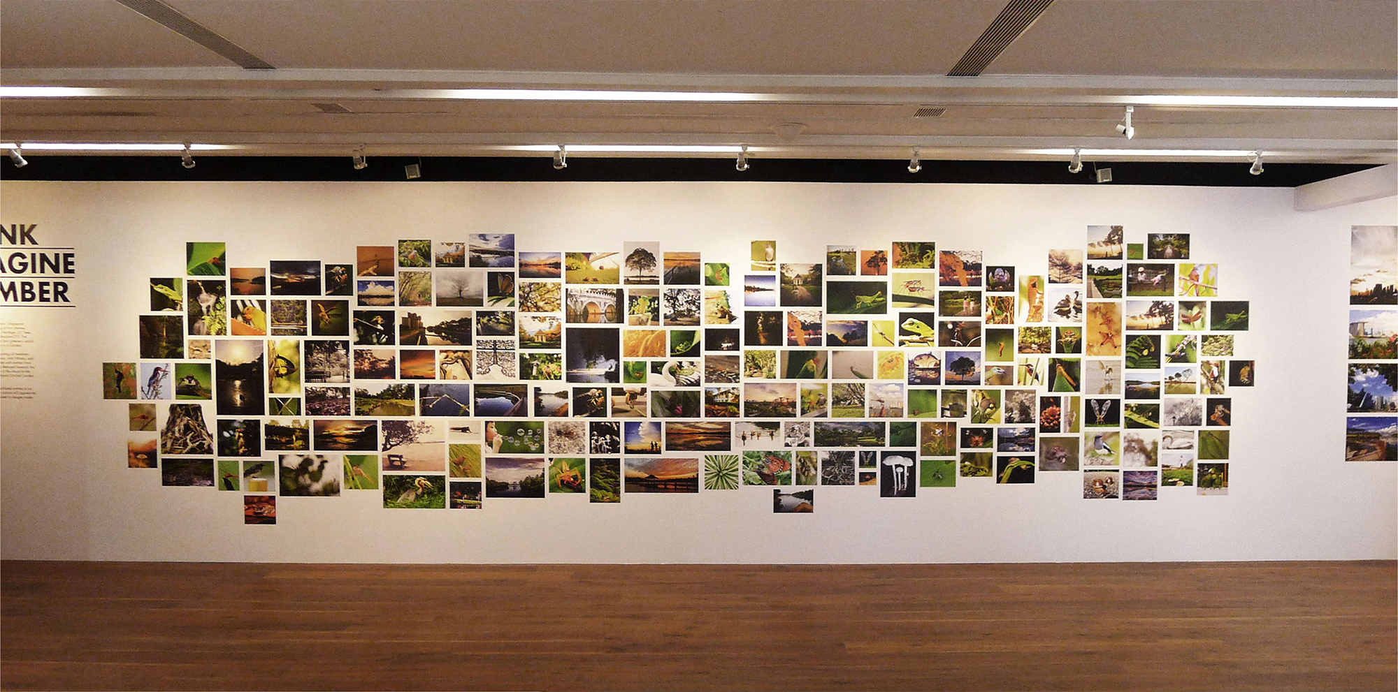 SINGAPORE BOTANIC GARDENS + CDL GALLERY