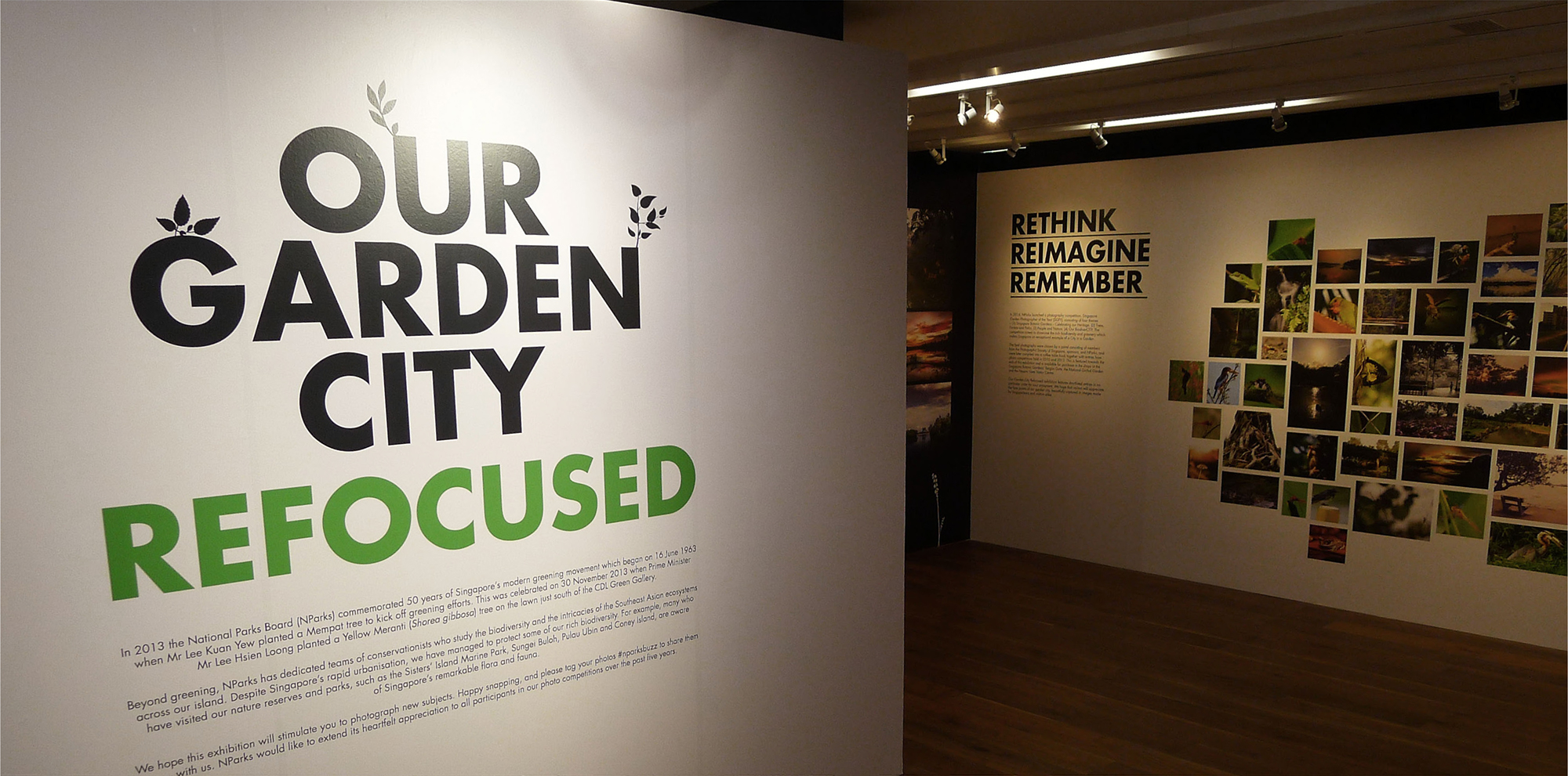 SINGAPORE BOTANIC GARDENS + CDL GALLERY