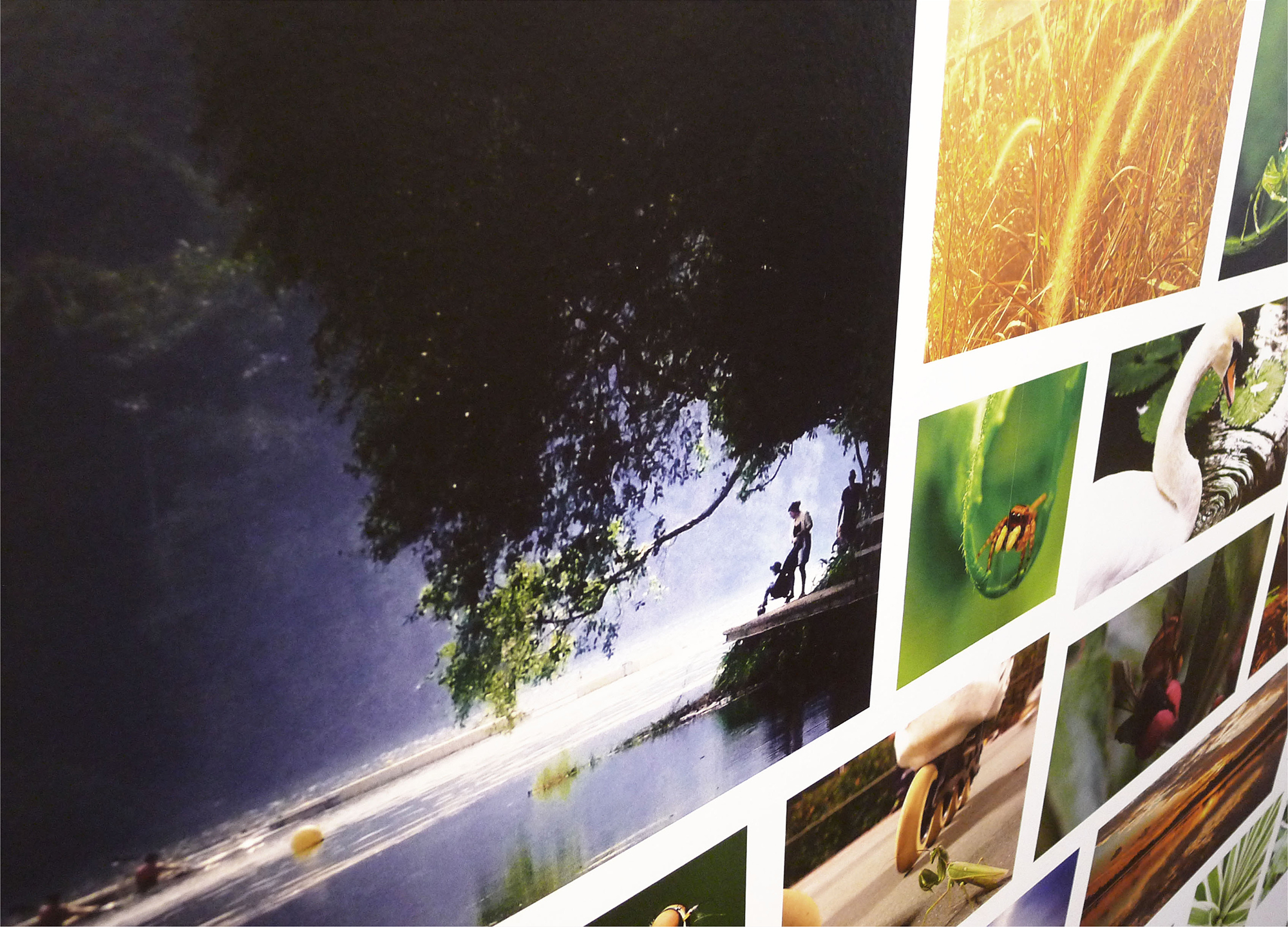 SINGAPORE BOTANIC GARDENS + CDL GALLERY