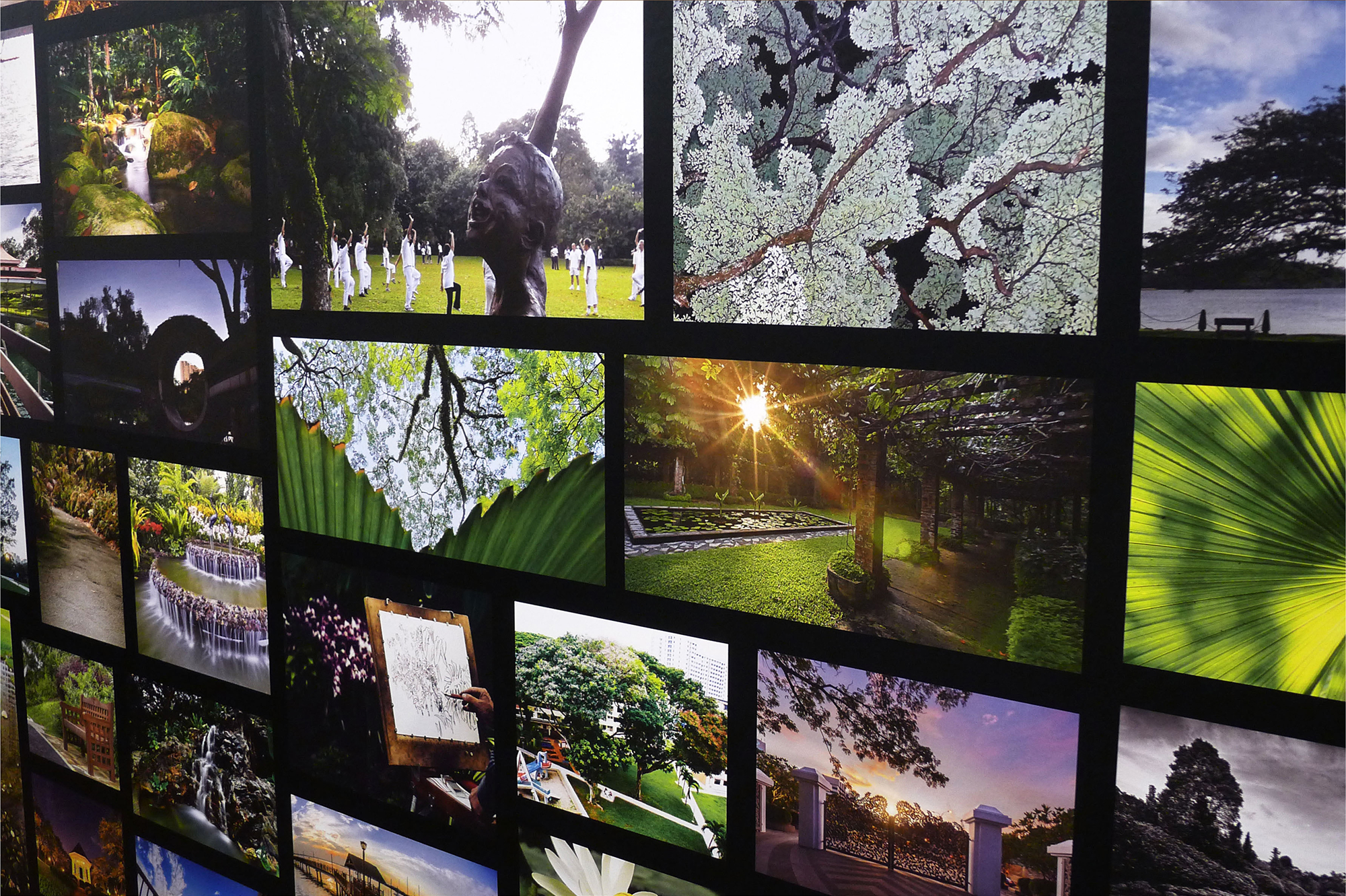 SINGAPORE BOTANIC GARDENS + CDL GALLERY