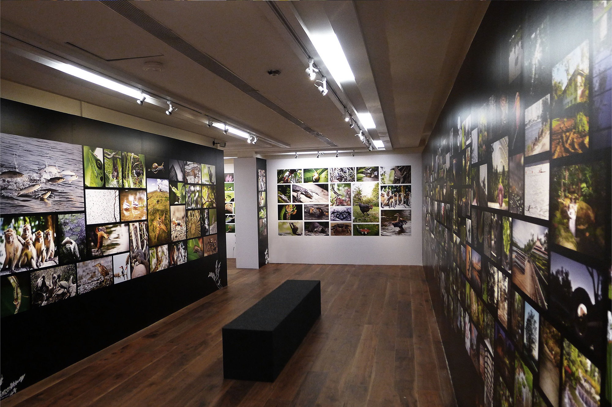 SINGAPORE BOTANIC GARDENS + CDL GALLERY